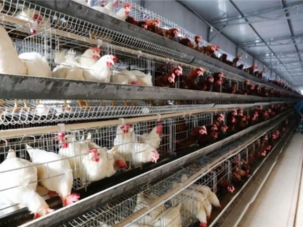 �����������½���ô����