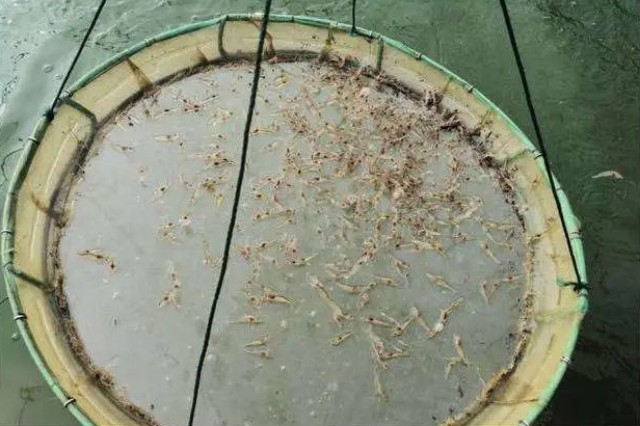 ��Ϻ��������