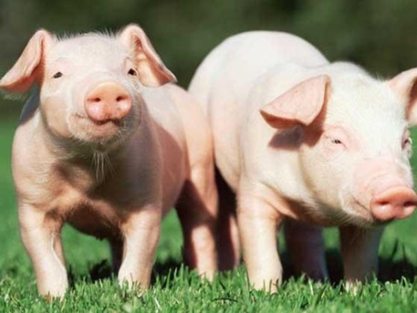 �ʰ���������������ʹ����ʲô�ô����б�Ҫȫ�����������������