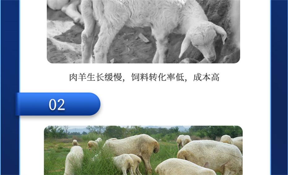 bbin��ӯ�������������Ӽ��������Ʒ����