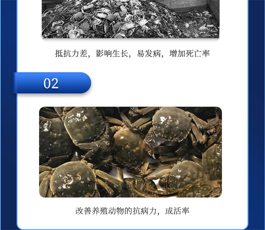 bbin��ӯ����ˮ���������Ӽ�����1�Ų�Ʒ����