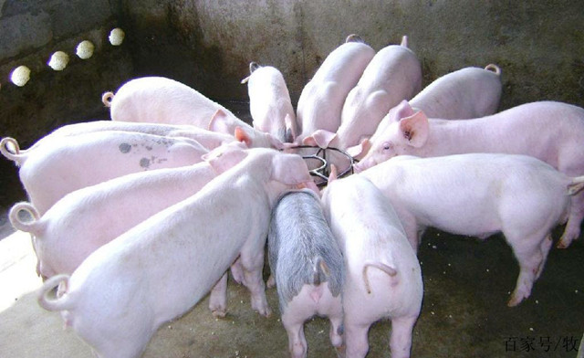 �������Ӽ�������