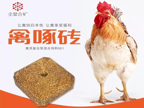 ����ש�������������ܸı�ʲô��