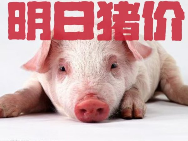 �������� | 2024��12��28��ȫ����������һ������