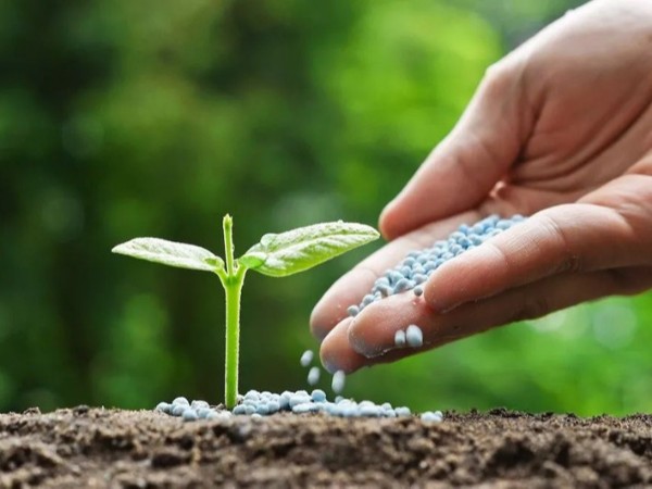 �߲������ʩ����