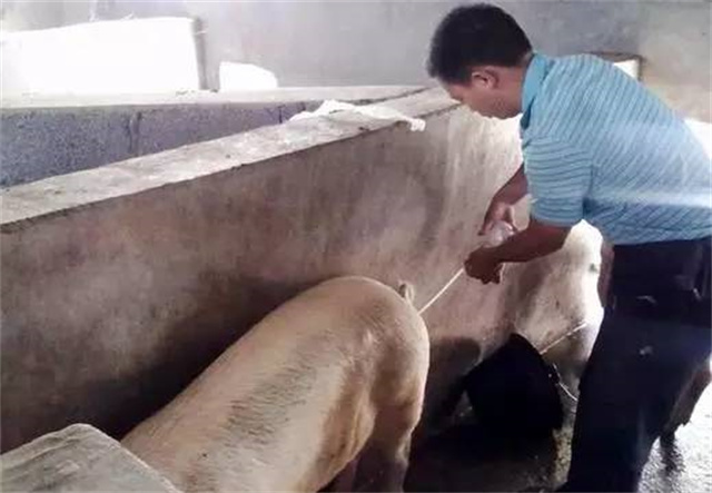 ĸ����������ô���