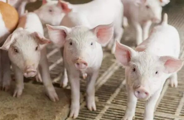 ������к