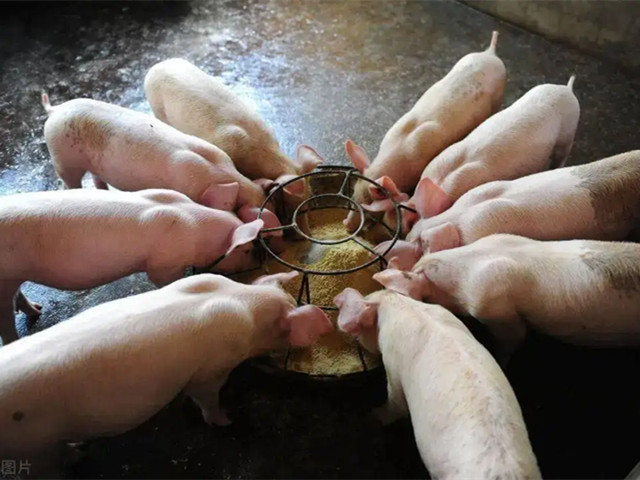 ���ѡ���������Ӽ�