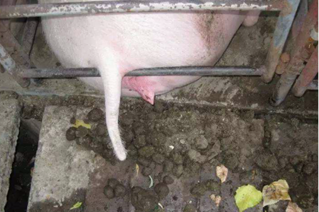 ĸ�����ص�����