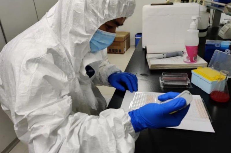 �����ճ����߹���