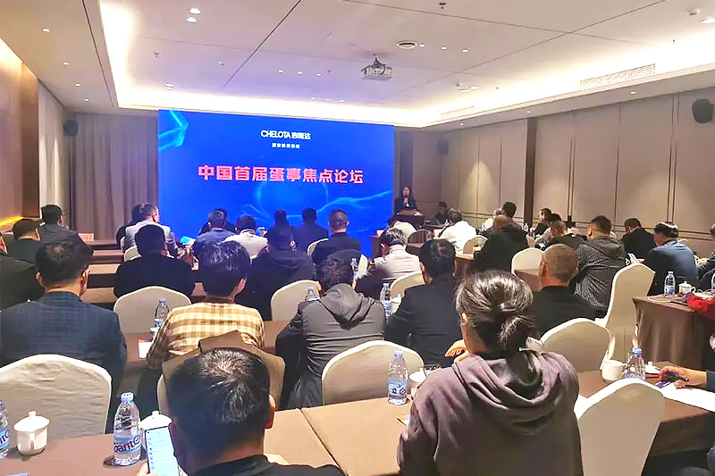 bbin��ӯ�����й��׽쵰�½�����̳