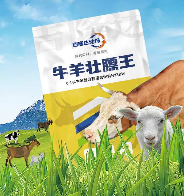 �������Ӽ�-ţ���������Ӽ�-ţ��׳����