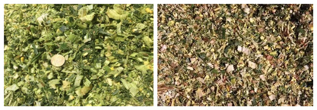 �������Ӽ�