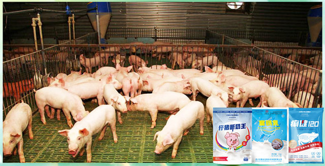 bbin��ӯ�����������Ӽ�