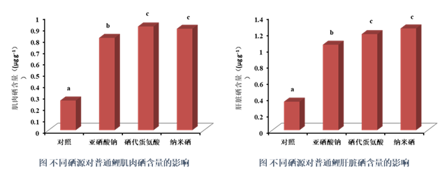 �������Ӽ�