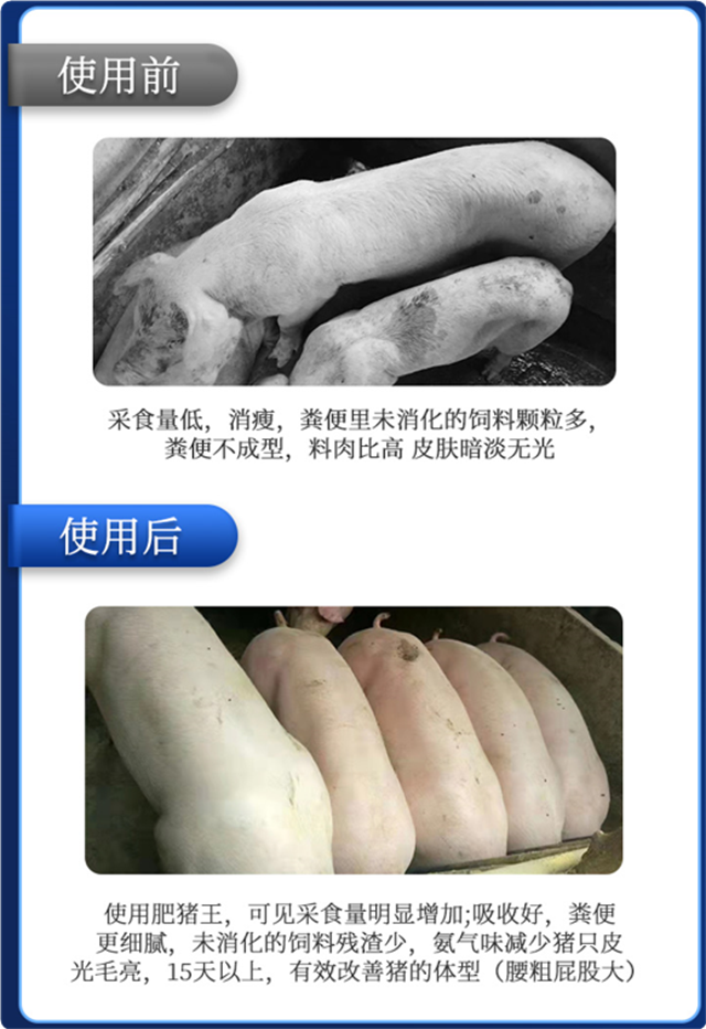 bbin��ӯ-������ʹ��Ч��