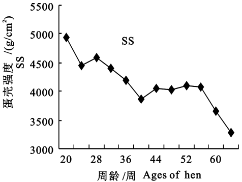 �������Ӽ�