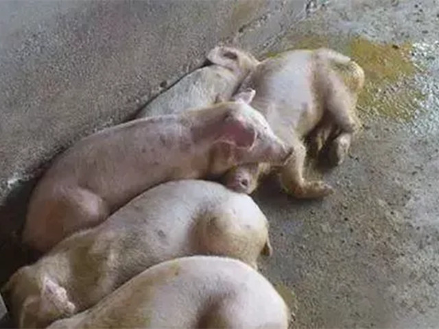 ������������2022�궬����������������к֢״�������������������ղأ�