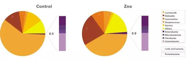 ҩ�ü�������п�Զ�����������΢����ֲ���Ӱ��