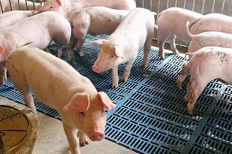 ����������