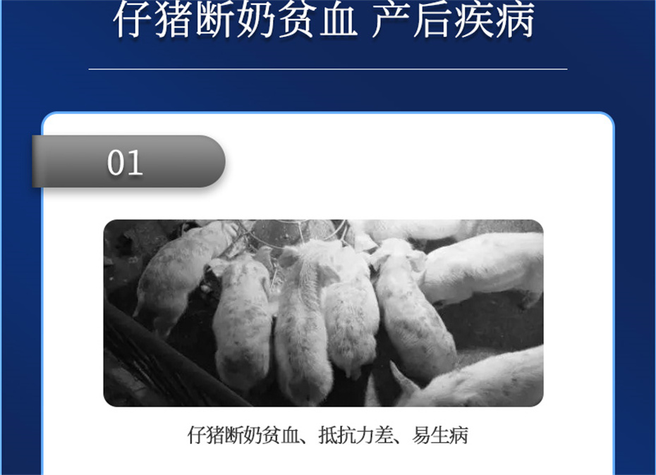 bbin��ӯ�������������Ӽ�������������Ʒ����