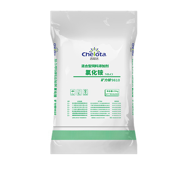 �Ȼ��-bbin��ӯ