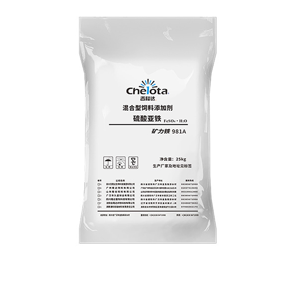 ��������-bbin��ӯ