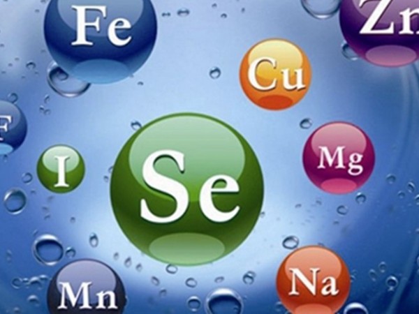 �������Ӽ�