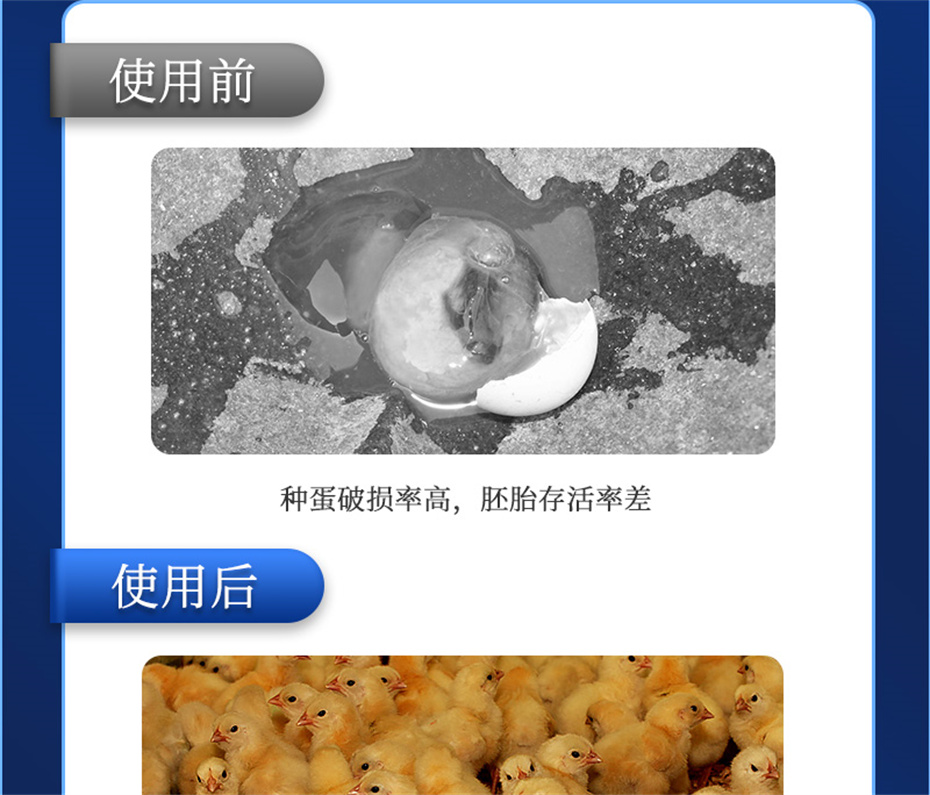 bbin��ӯ�������������Ӽ���������Ʒ����