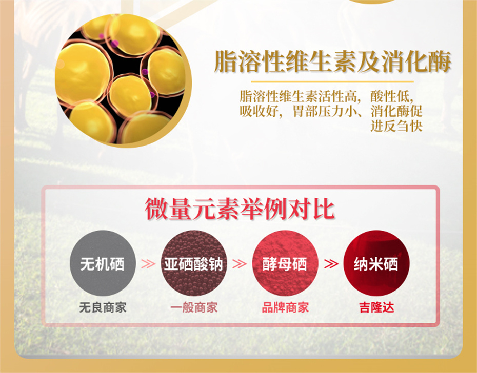 bbin��ӯ����ţ���������Ӽ�ţ��׳������Ʒ����