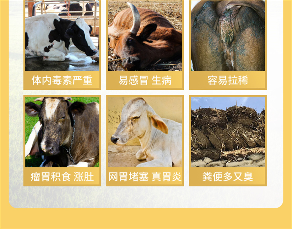 bbin��ӯ����ţ���������Ӽ�ţ��׳������Ʒ����