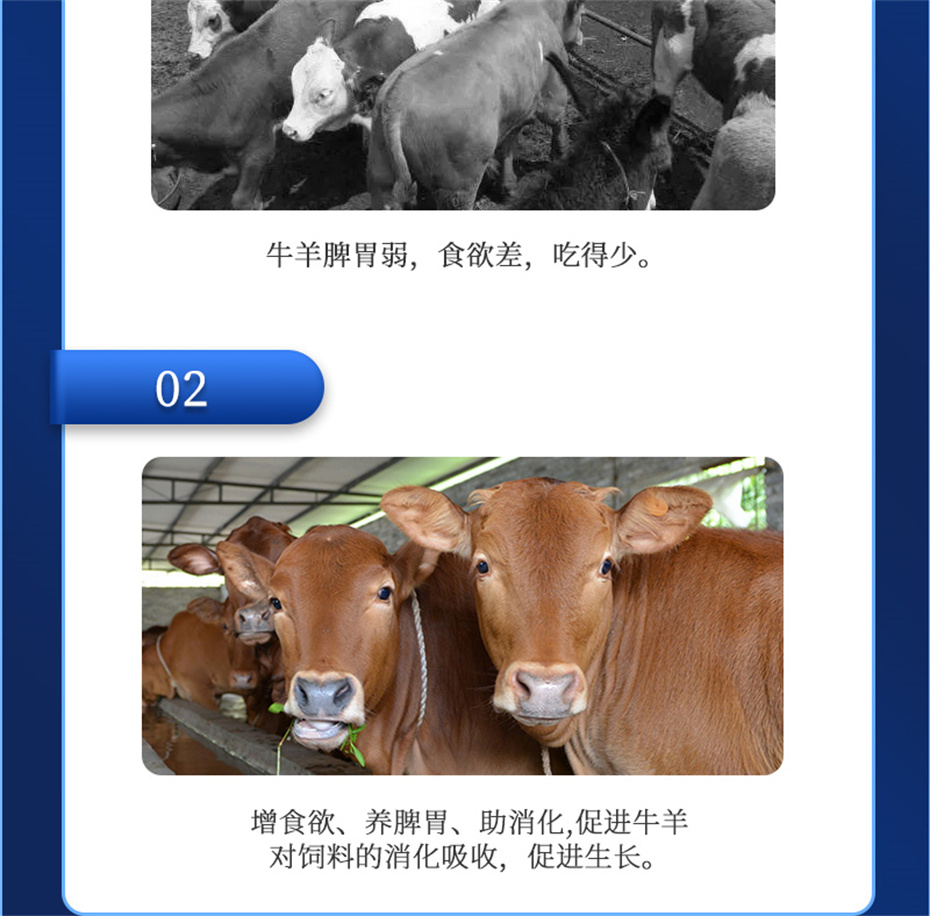 bbin��ӯ����ţ���������Ӽ�ţ��Ԫ˧��Ʒ����