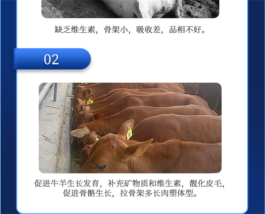 bbin��ӯ����ţ���������Ӽ�ţ��Ԫ˧��Ʒ����