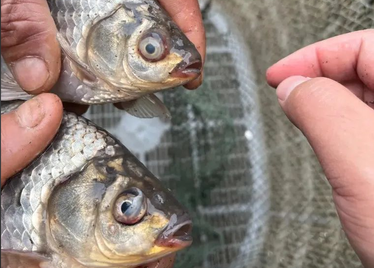 Խ������ο��ٸ�����Ϻ����������