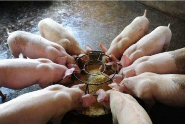 �������������Ӽ�