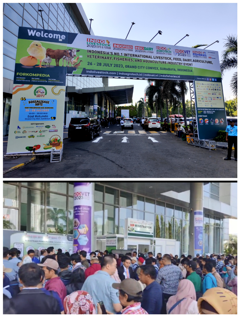 ӡ������չ�����ֳ�