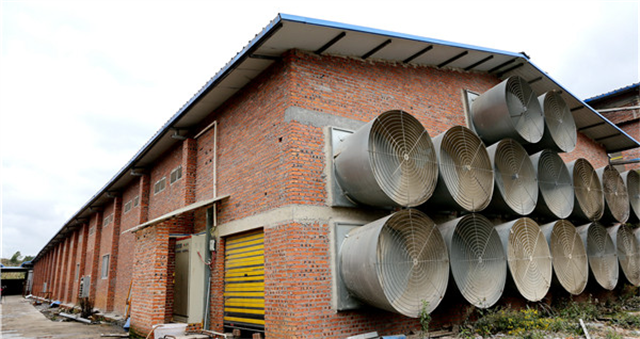 ������Ӧ���ķ��ش�ʩ