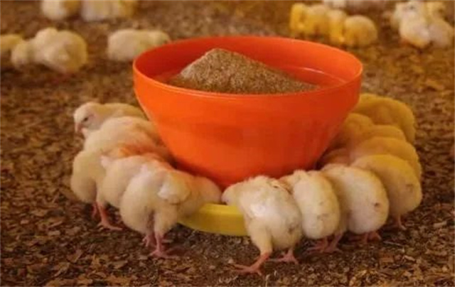 ������Ӧ��������