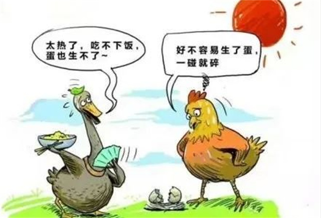 ������Ӧ��������