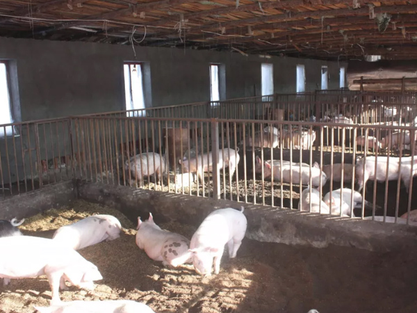 �������������������������������΢��Ԫ��Ԥ�������������