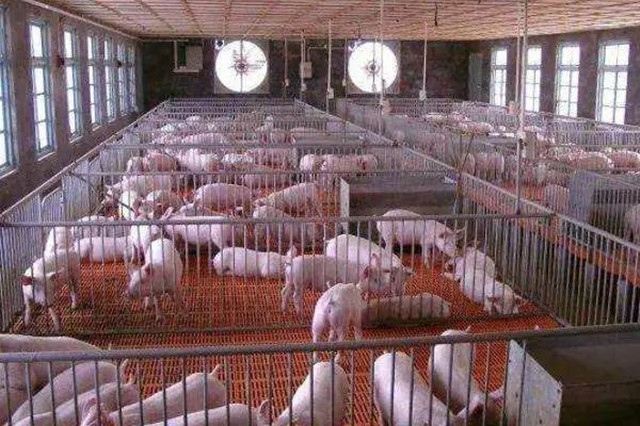 �����ܷ�������Ļ�������