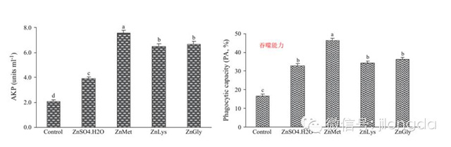 �������Ӽ�