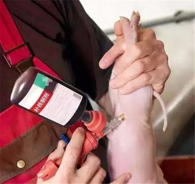 �������Ӽ�