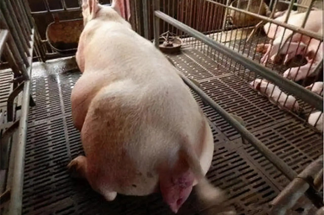 ĸ�����̹���������