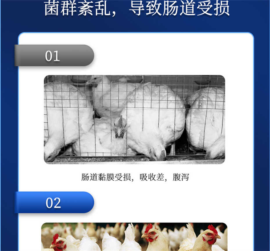 bbin��ӯ�����������Ӽ�����Ԫ��Ʒ����