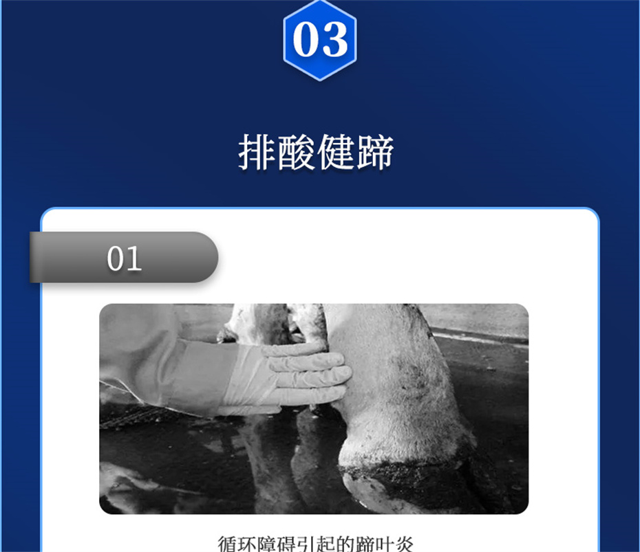 bbin��ӯ����ţ���������Ӽ�θ��plus��Ʒ����