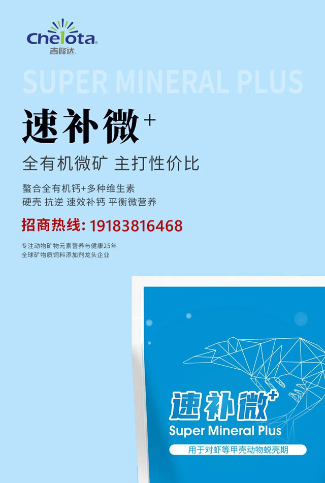 bbin��ӯ�ٲ�΢+