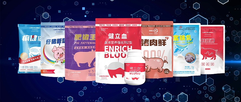 bbin��ӯ�������������Ӽ�