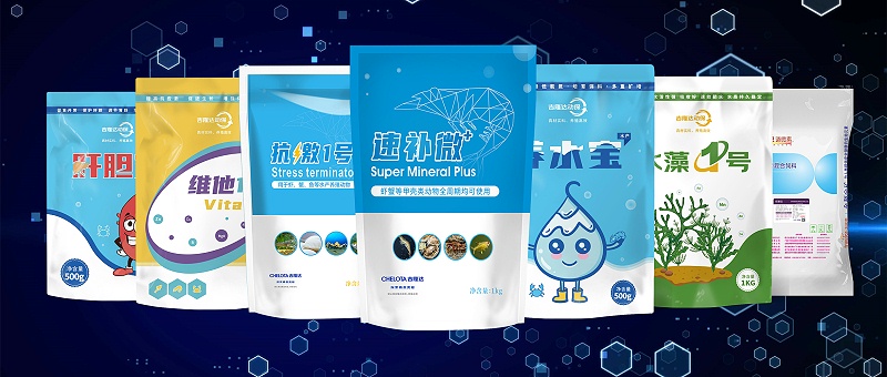 bbin��ӯ����ˮ���������Ӽ�