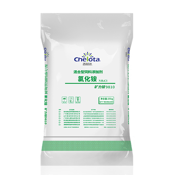 �Ȼ��-bbin��ӯ